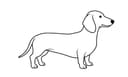 Miniature Dachshund illustration